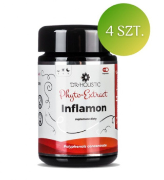 DR Holistic ZESTAW: 4 x Inflamon Phyto Extract - 60 kaps.